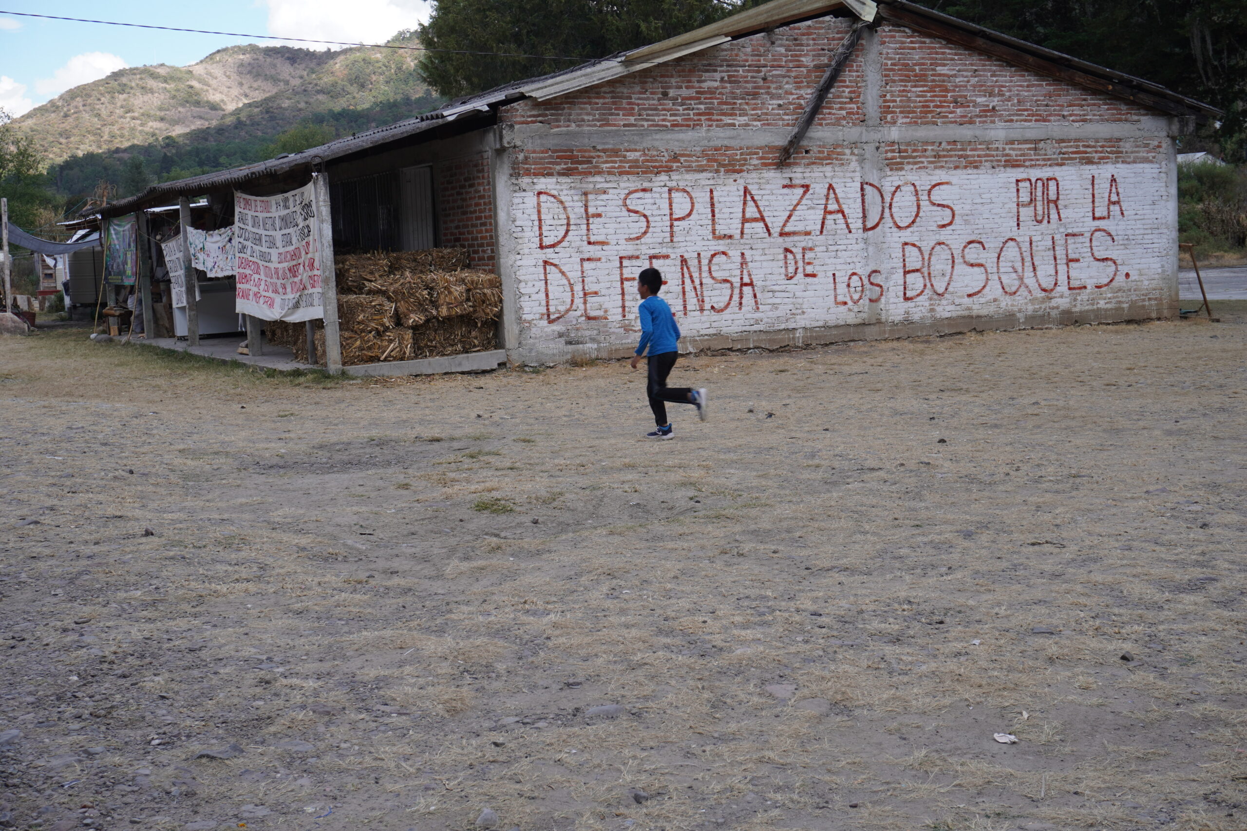 Cuatro años sin Irma Galindo, la defensora desaparecida por defender su bosque y las comunidades que se desplazaron
